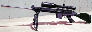 FAL-Sniper10rd.jpg (9789 字节)