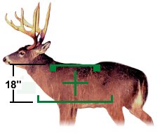 deer.jpg (9382 ֽ)